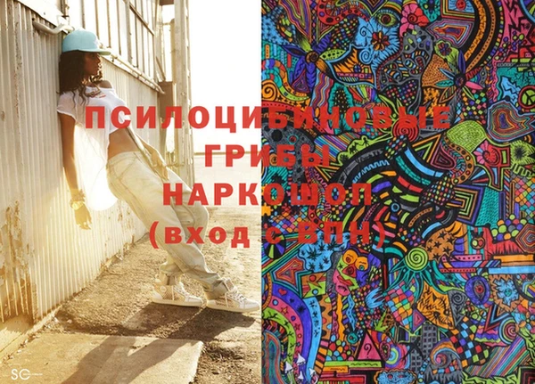 молекула духа Балахна