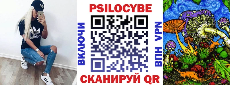 закладки  Кунгур  Галлюциногенные грибы прущие грибы 